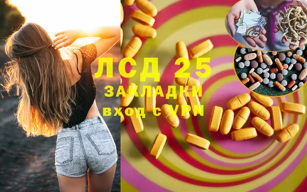 PSILOCYBIN Майский