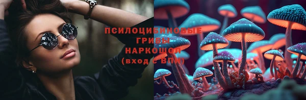 PSILOCYBIN Майский