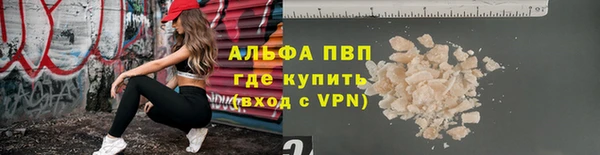 PSILOCYBIN Майский