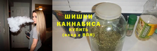 PSILOCYBIN Майский