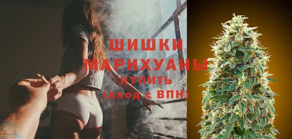 PSILOCYBIN Майский