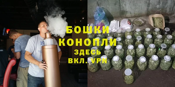 PSILOCYBIN Майский