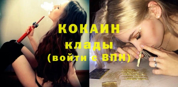 PSILOCYBIN Майский