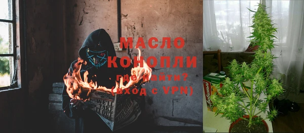 PSILOCYBIN Майский
