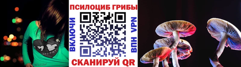 Псилоцибиновые грибы мицелий  продажа наркотиков  гидра сайт  Талица 